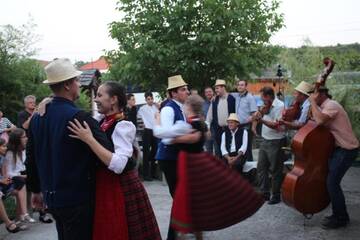 Фото Отели типа «постель и завтрак» Csipkeszeg Bed &amp; Breakfast Sic / Szék Romania г. Sic 1