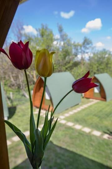 Фото Кемпинги Tulipan Camping г. Sic 3